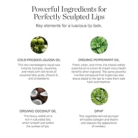 Ogee Tinted Sculpted Lip Oil - Lip Stain Made with 100% Organic Coconut Oil, Jojoba Oil, and Vitamin E - Best as Lip Balm, Lip Color or Lip Treatment - BEGONIA