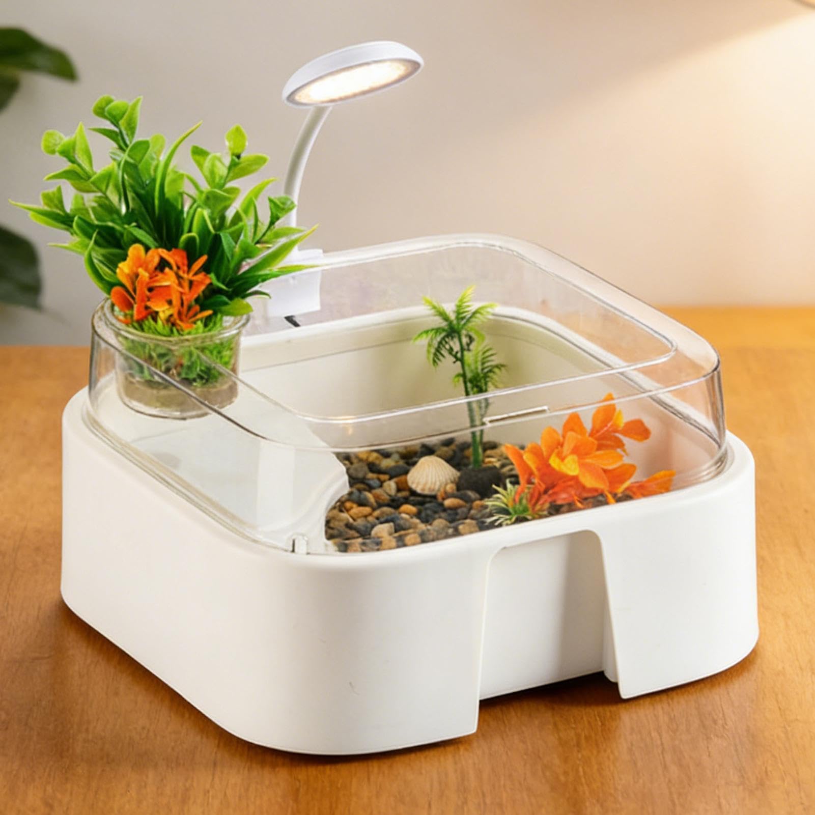Akwarium dla Żółwi Terrarium Dla Gadów Z Dekoracjami | Akwarium Agamy Brodatej Z Oświetleniem dla Krabów Palmaowych Żółwi Agam Brodatych Węży i Pająków do Domu i Biura