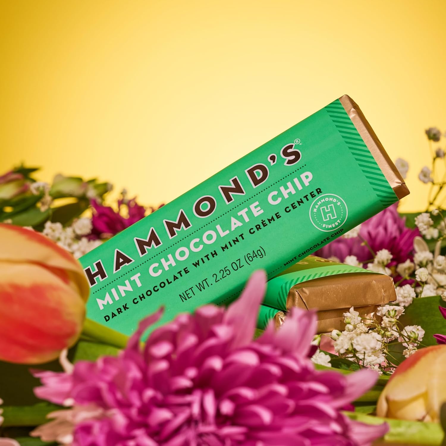 Hammond's Candies Gourmet Chocolate Candy Bars – Mint Chocolate Chip | Rich Dark Chocolate with Mint Center, Peppermint Cream Patty Chocolate Bar, Certified Kosher, Handcrafted in the USA | Pack of 5