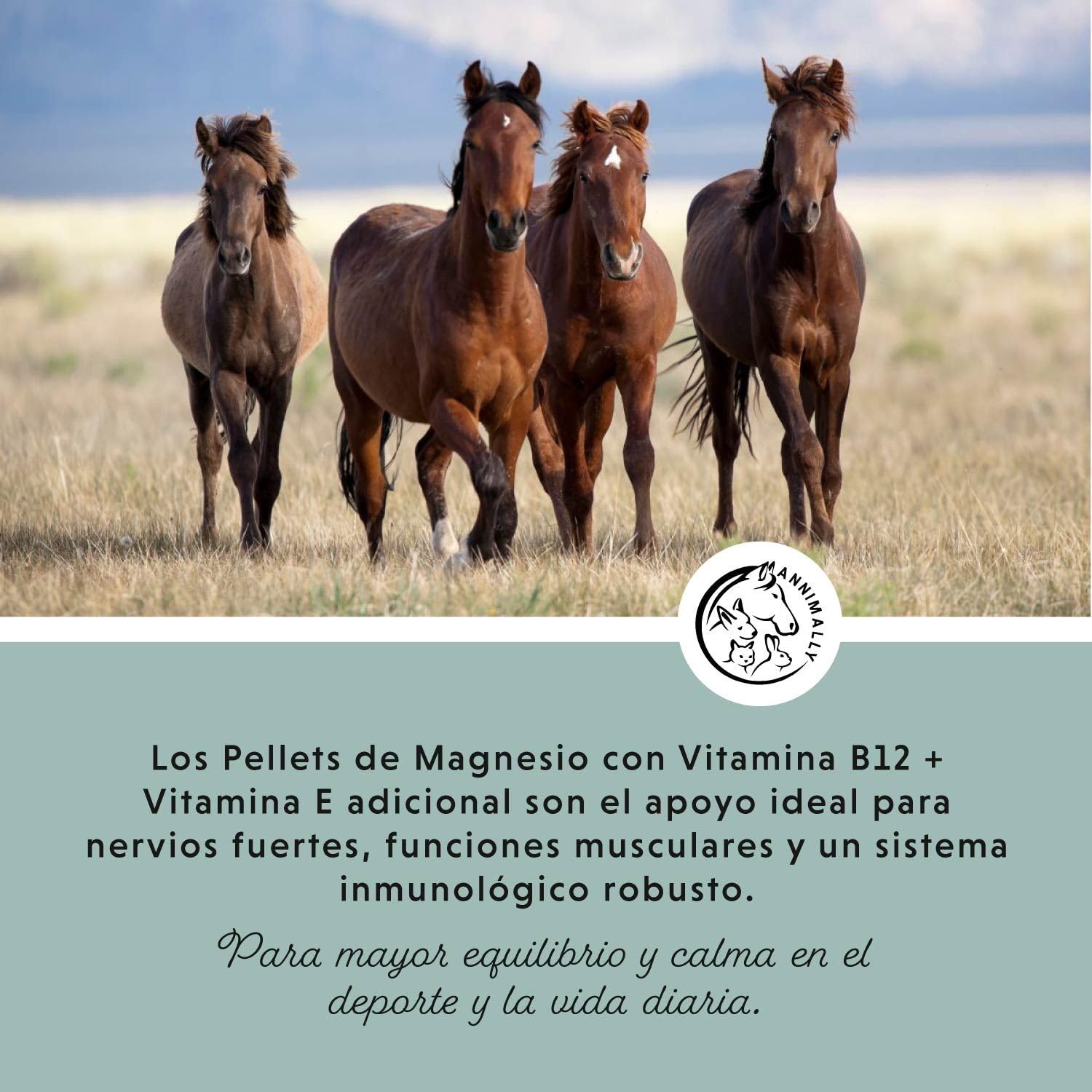 Annimally Pellets de Magnesio para Caballos 1 kg - Acetato de Magnesio y Óxido de Magnesio para una máxima biodisponibilidad