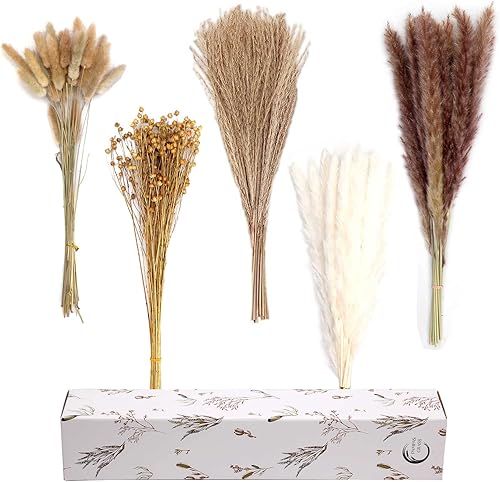 Miniatura 2 de Hierba de pampa seca natural, 90 tallos variados de flores secas para jarrón  Incluye hierba de pampa blanca de 17 pulgadas, colas de conejo, hierba