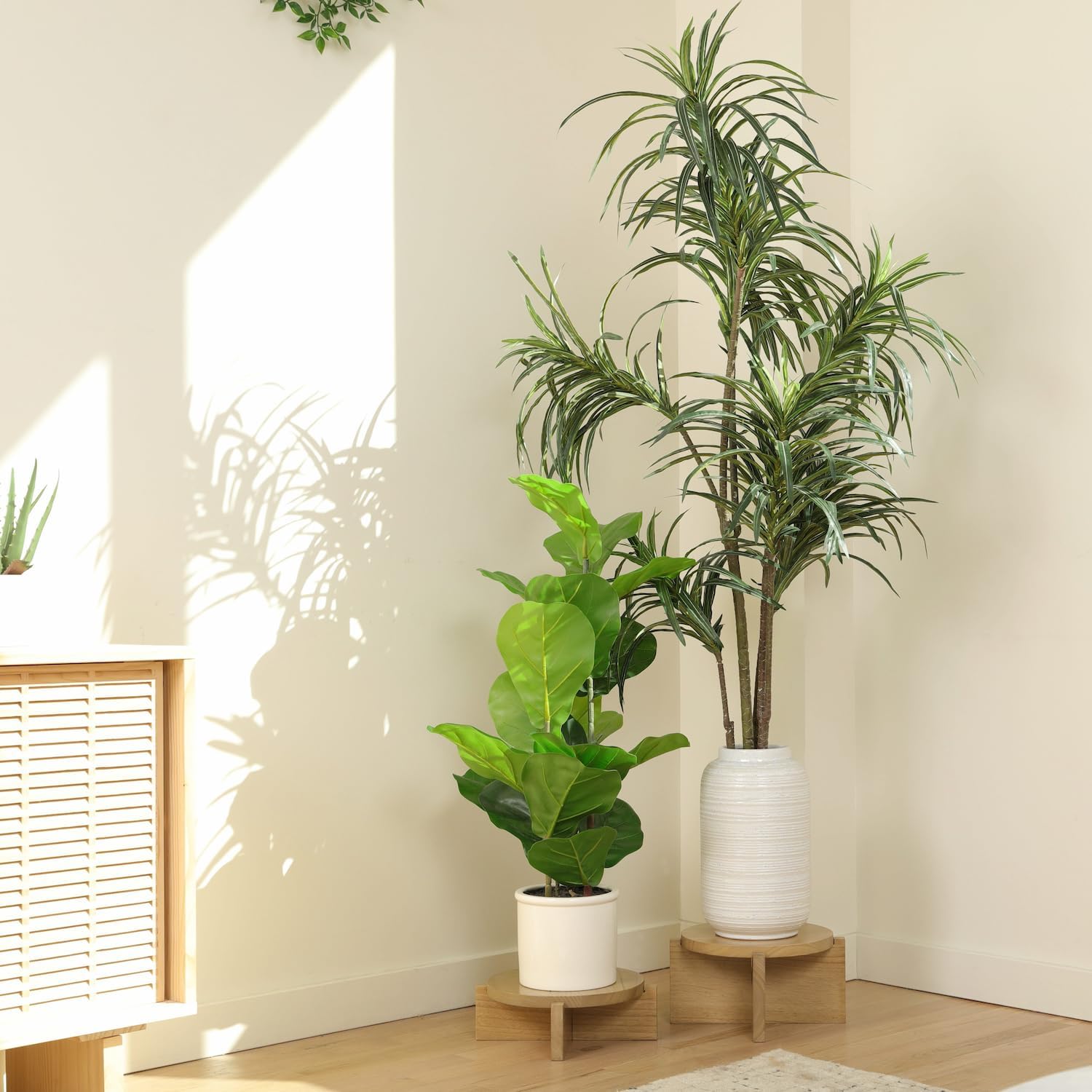 Natural Wood Riser Set of Two - Large 10” Round Wooden Plant Stands Indoor - Wood Pedestal Stands for Plants, Cakes, Drink Dispensers or Decorative Display - Mid Century Modern Plant Tables - Plant Stool for Floor or Table