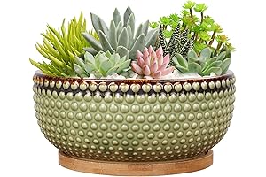 8 Inch Ceramic Succulent Shallow Planter Pot with Drainage Hole and Saucer...