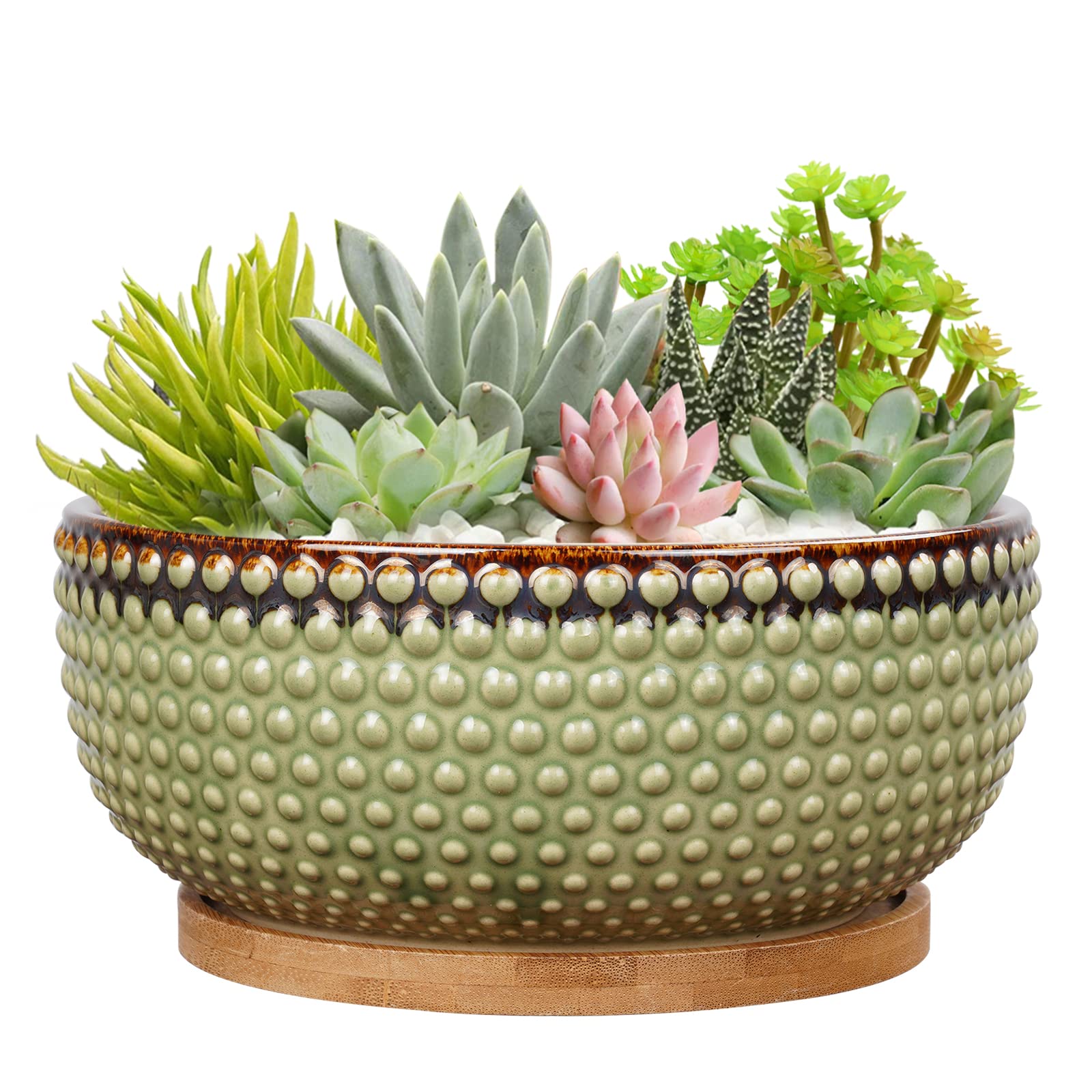 EPFamily 8 Inch Beaded Stoneware Succulent Planter