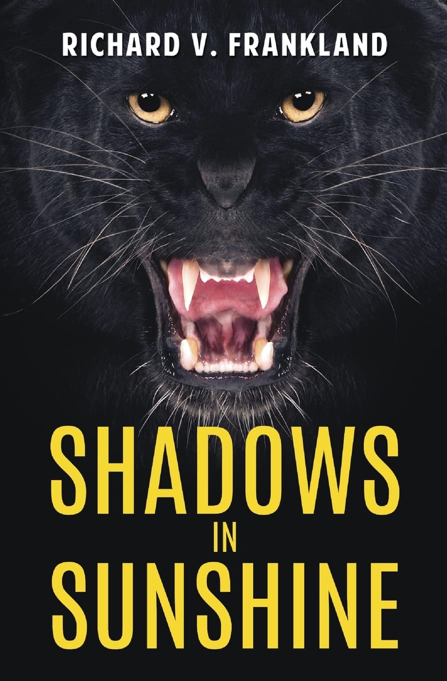 Buy Shadows in Sunshine — BookShops.in