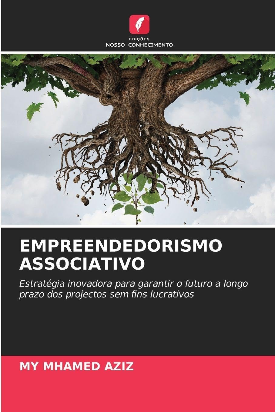 Empreendedorismo Associativo: Estratégia inovadora para garantir o futuro a longo prazo dos projectos sem fins lucrativos
