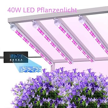Mixc Pflanzenlampe 40w Led Pflanzenlicht Pflanzenleuchte Wachsen Licht Vollspektrumverbesserte Grow Lampe 24 Stunden Radfahren 5 Dimmbare Rot Gelb Fur Pflanze Sukkulenten Samling 4 Pack Amazon De Beleuchtung