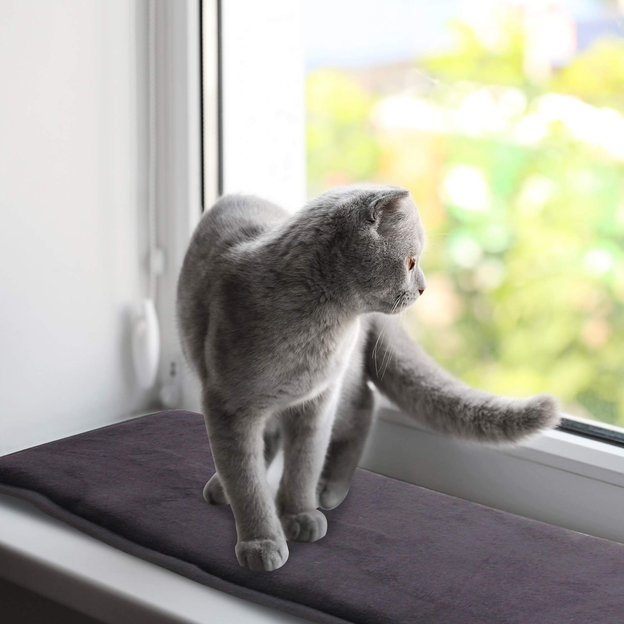 Pet Prime Fensterliege Matte