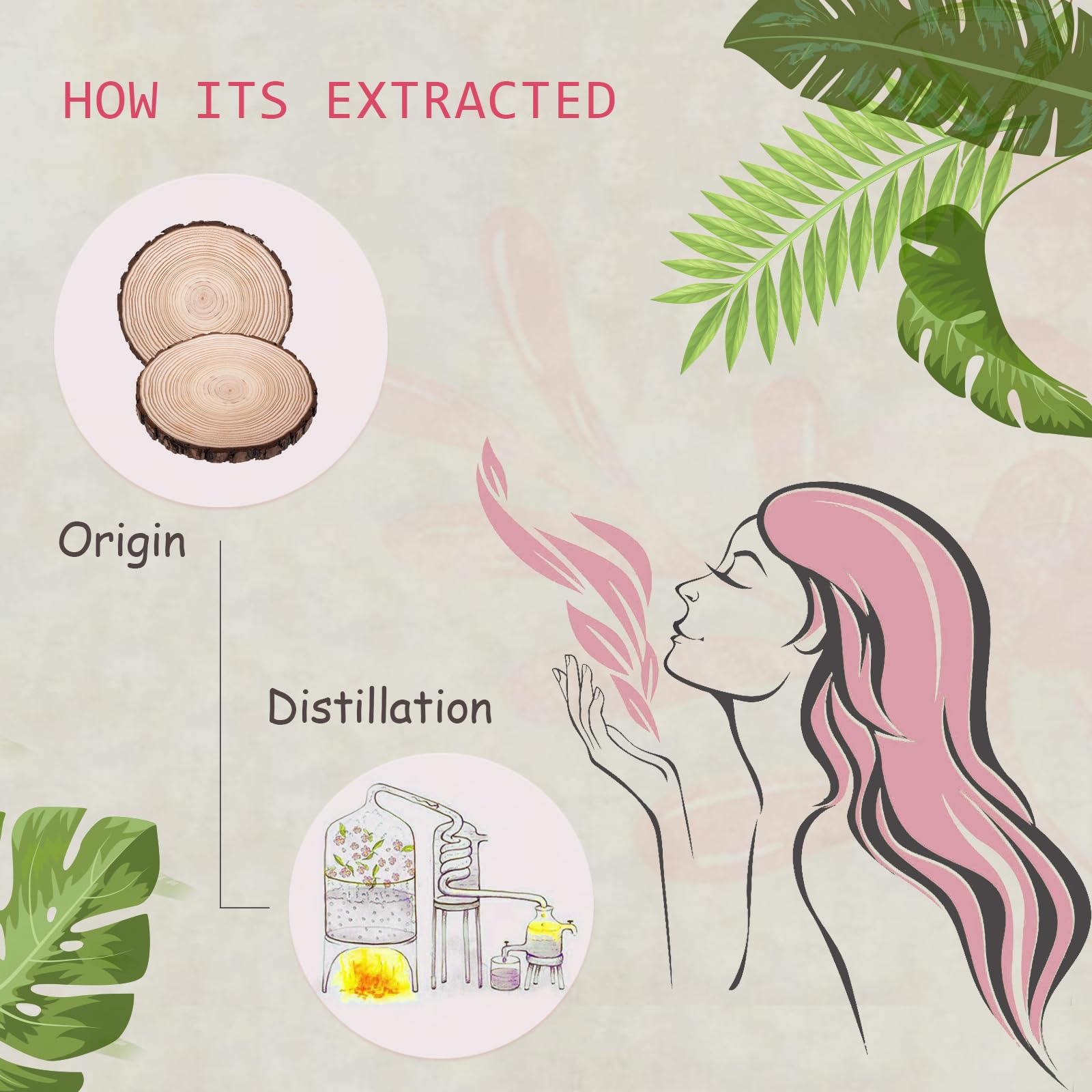 2-Pack Hinoki Essential Oil - 100% Pure Organic Natural Plant (Chamaecyparis obtusa) Hinoki Oil for Diffuser, Aroma, Spa, Massage, Yoga, Perfume, 2x10ML