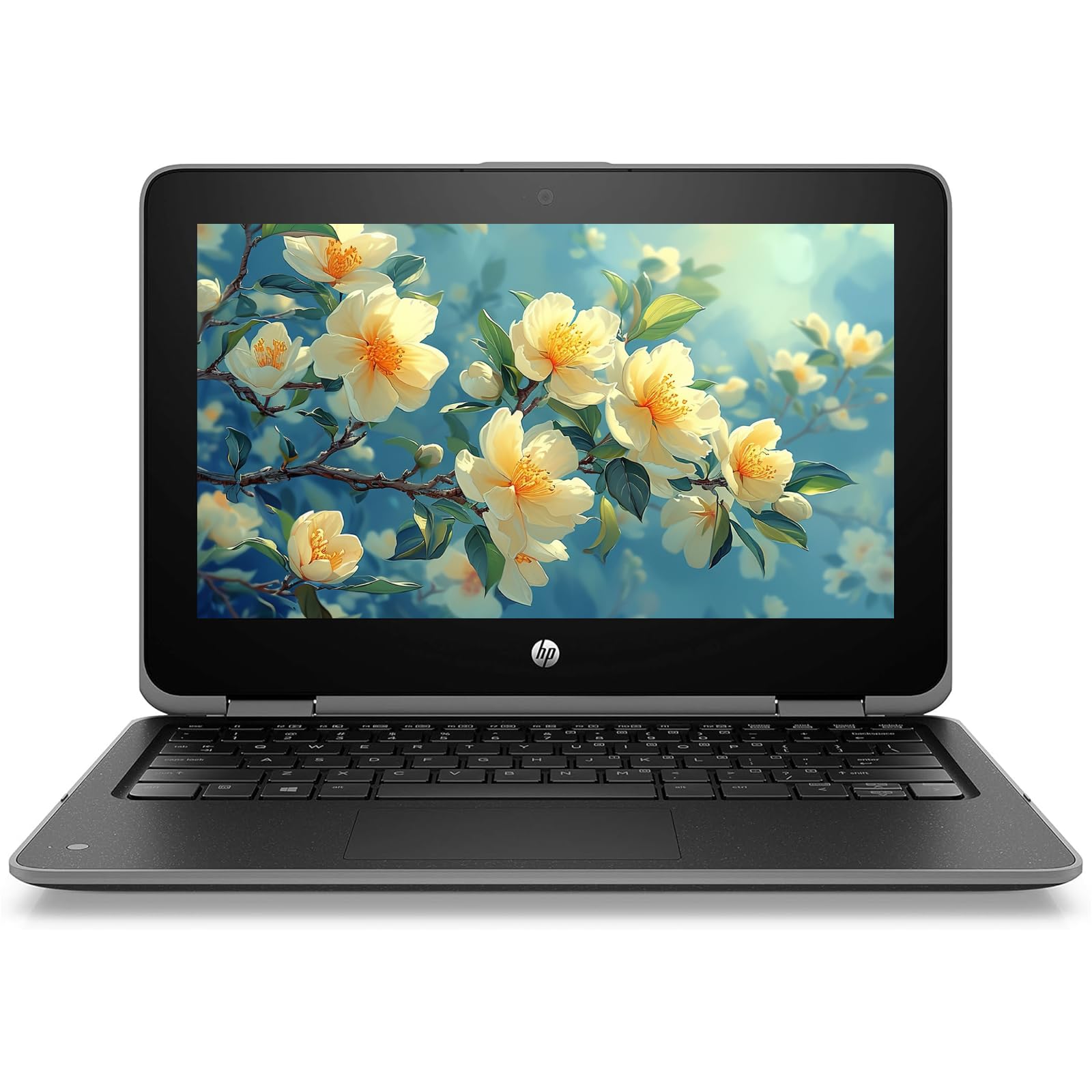 Amazon.com: HP ProBook x360 11 G6 EE 2-in-1 Laptop, 11.6-inch
