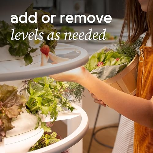 Miniatura 8 de Kit de inicio de granja con anillos brillantes y plántulas incluidos, kit de sistema de cultivo hidropónico pequeño, torre de maceta de jardín