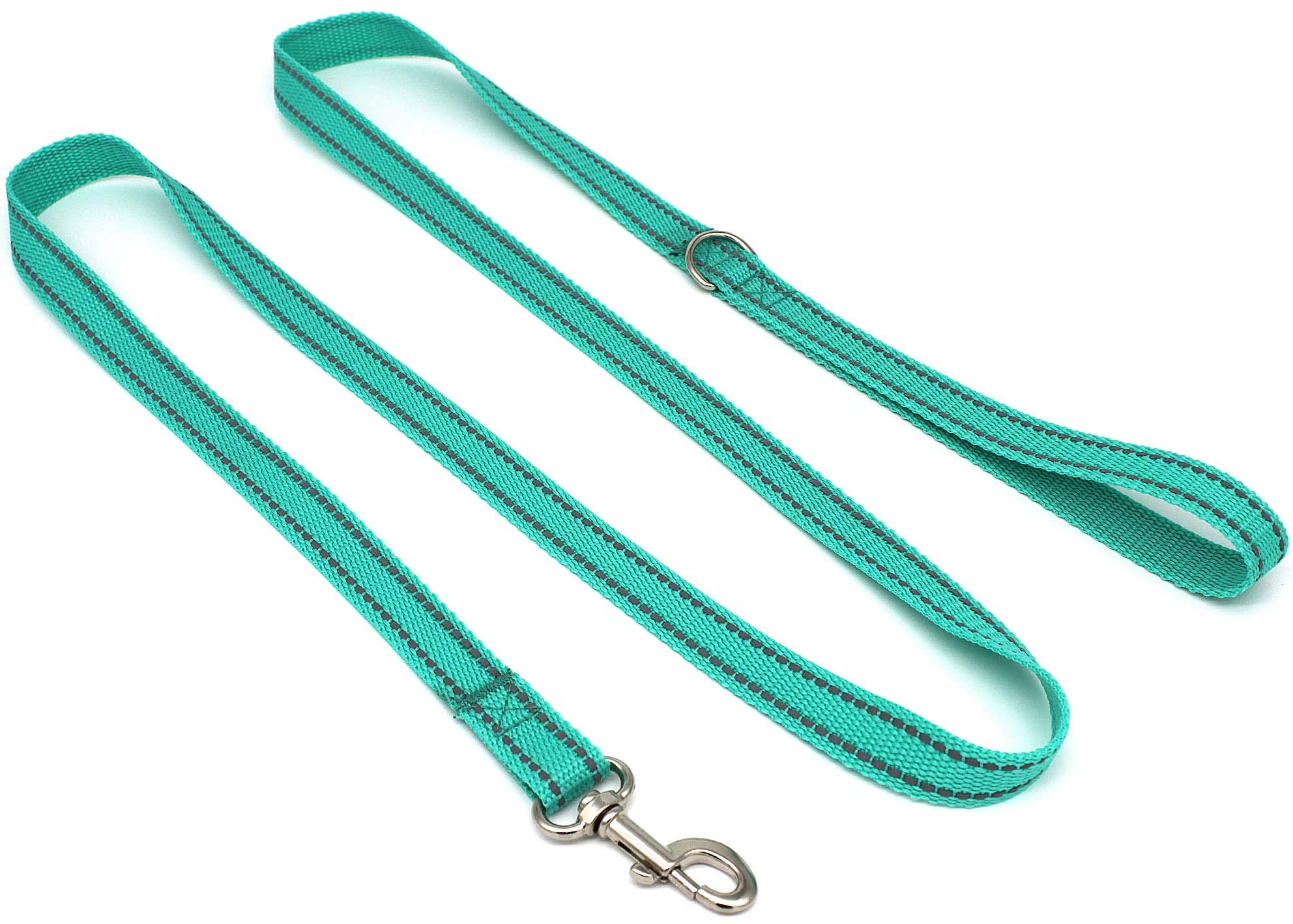 SUNNQReflective Dog Leash for Small Dogs, 6 FT (3/4 inch x 6FT, Turquoise)