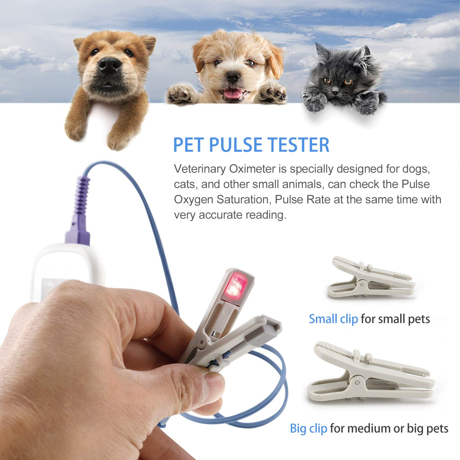 How Do You Check A Dogs Oxygen Level