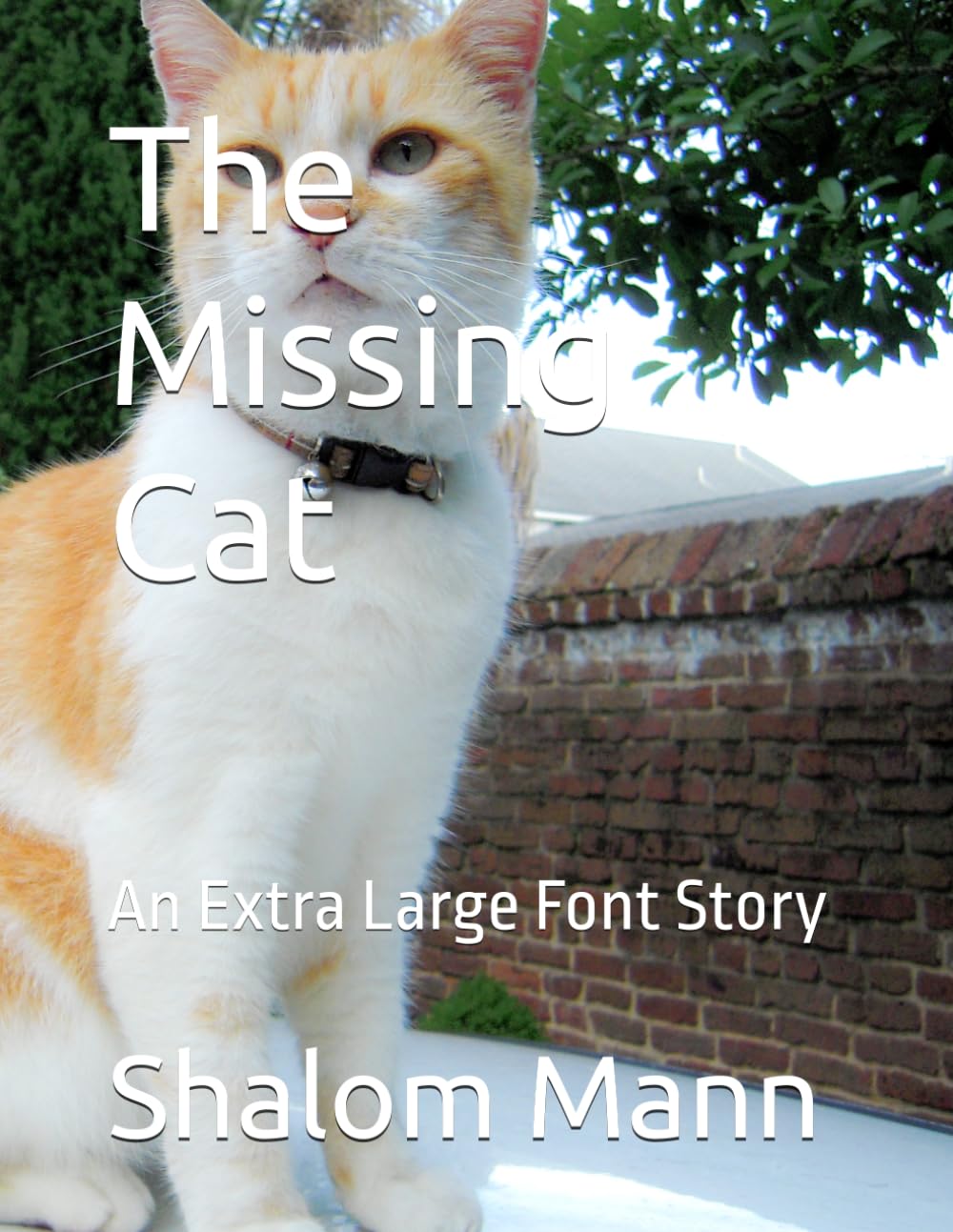 The Seven Cats: An Extra Large Font Story (80 Font Books for the Elderly and Vision Impaired.)