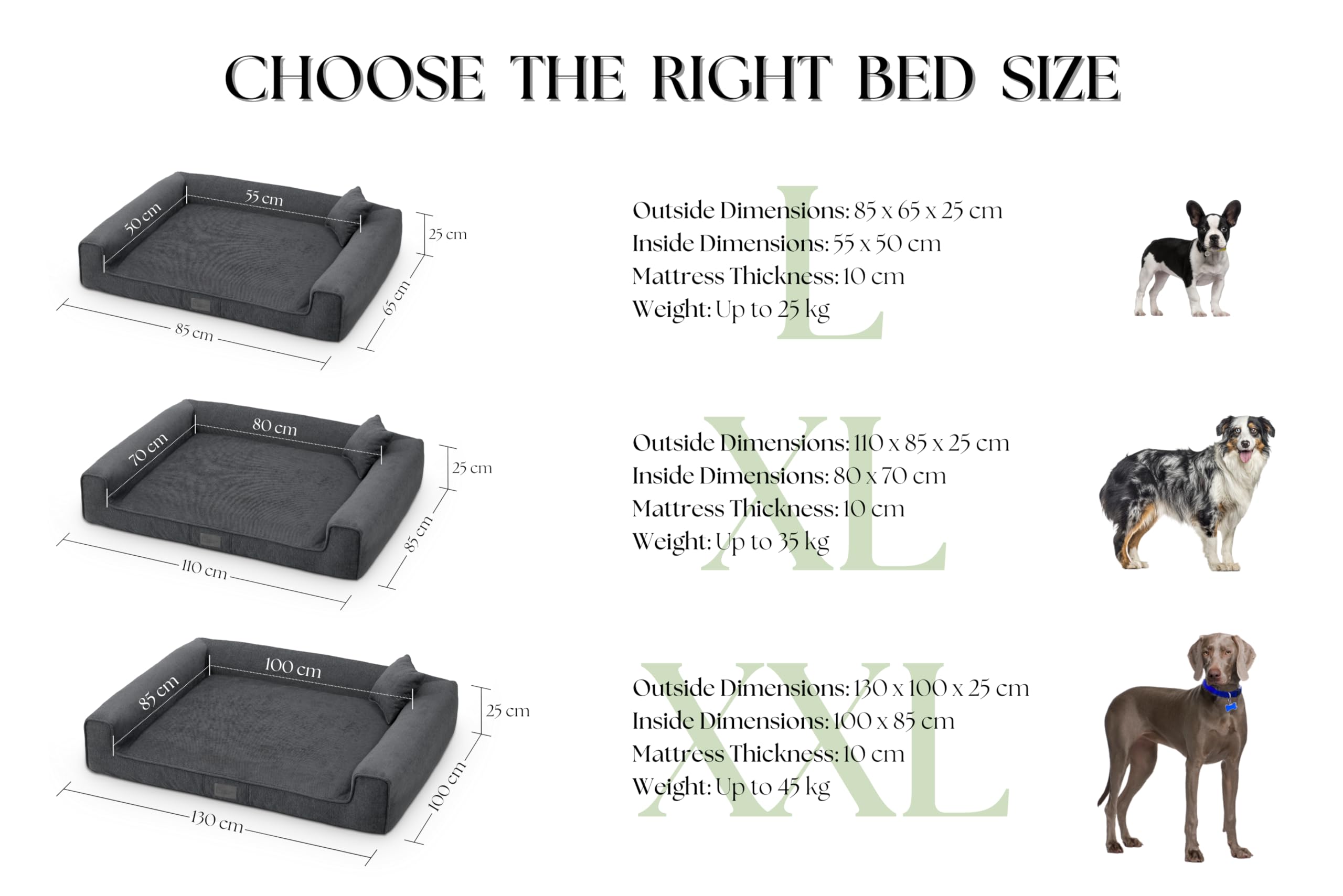 exclusiveBED Cama ortopédica Sofi para perros medianos | Elegante sofá para perros con respaldo antideslizante | Funda extraíble | Colchón de espuma viscoelástica | Tela lavable (XL, grafito)
