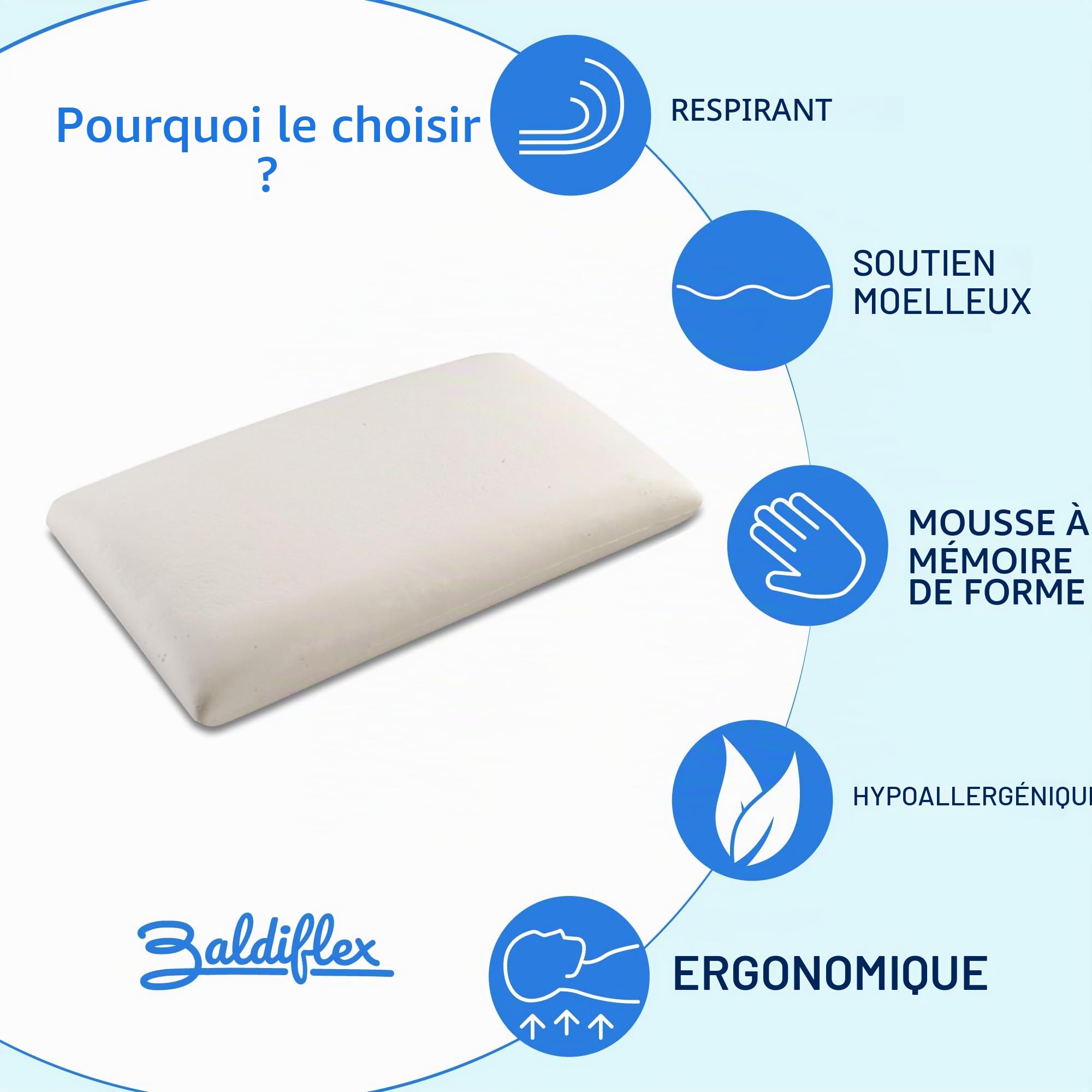 Baldiflex Lot de 2 Oreillers a mémoire de Forme avec Housse zippée en Aloe Vera, Anti-Acariens et Hypoallergénique, modèle rectangulaire Hauteur 11 cm