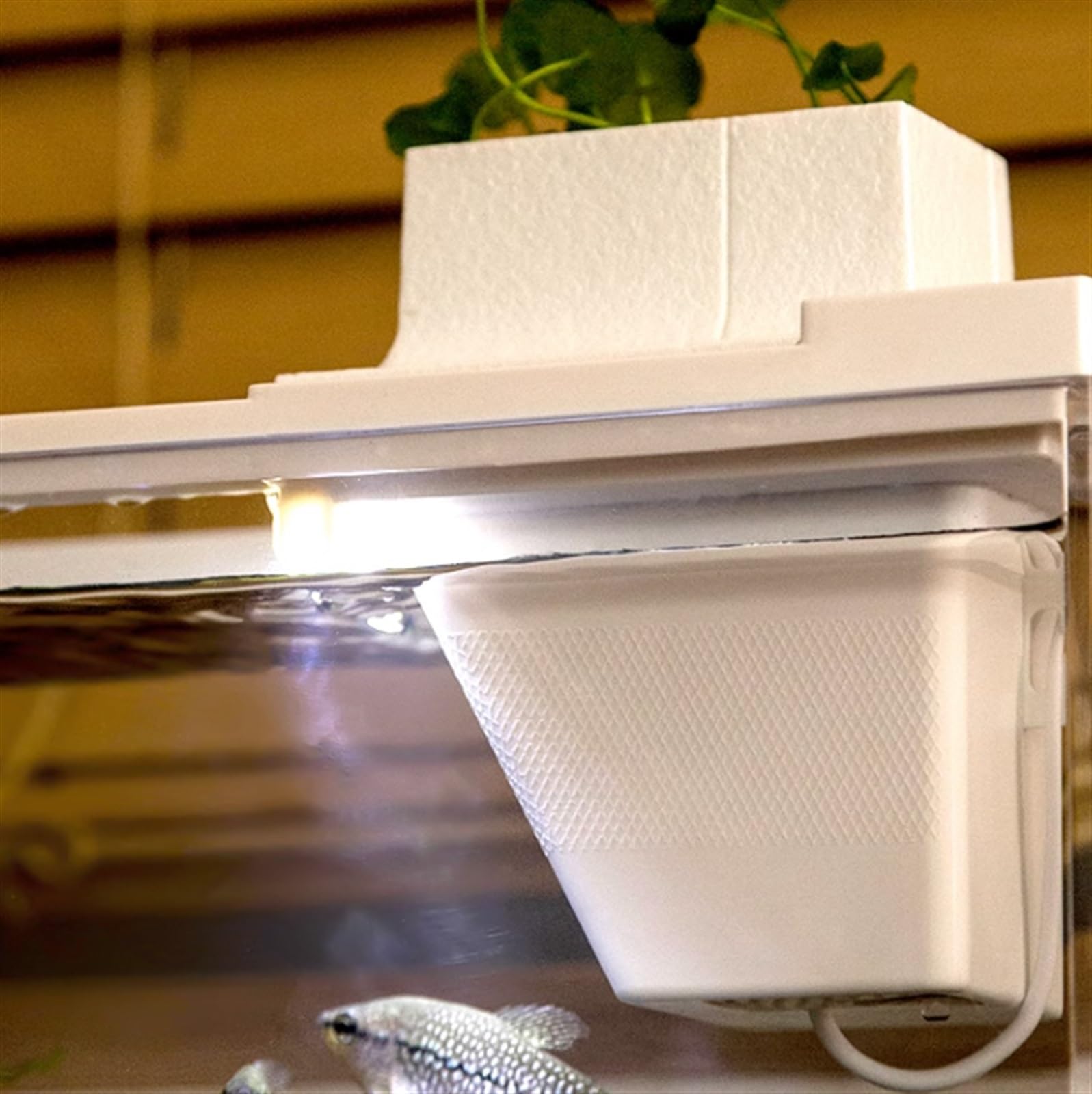 Aquarium Aquarium-Tank, transparent, rechteckig, aus Acryl, sturzsicher for den Heimgebrauch, mit Pumpe und integriertem Licht, ökologisches Aquarium Fischtank