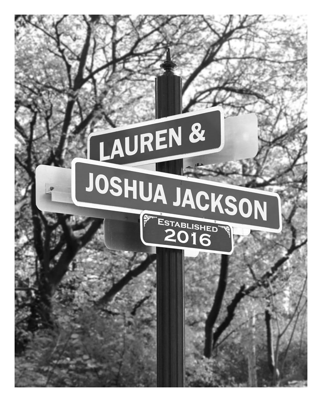 Lone Star Art Lovers Lane Street Sign Poster