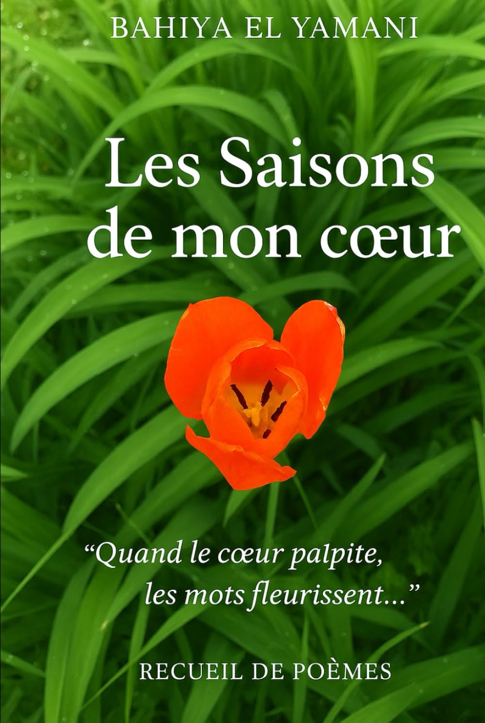Les Saisons de mon coeur