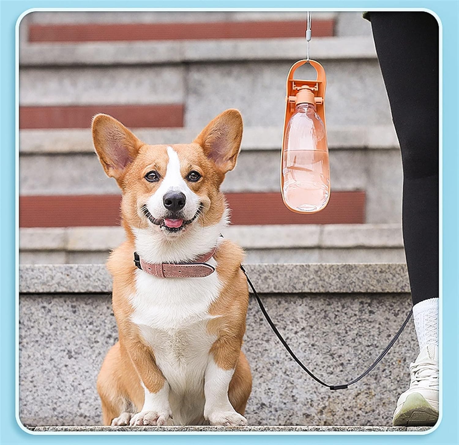 Dog Water Bottles 550Ml Pet Dog/Kitten Accompanying Water Cup Go Out Outdoor Feeding Drinking Fountain Portable Multi-Capacity Bottle(Blue)
