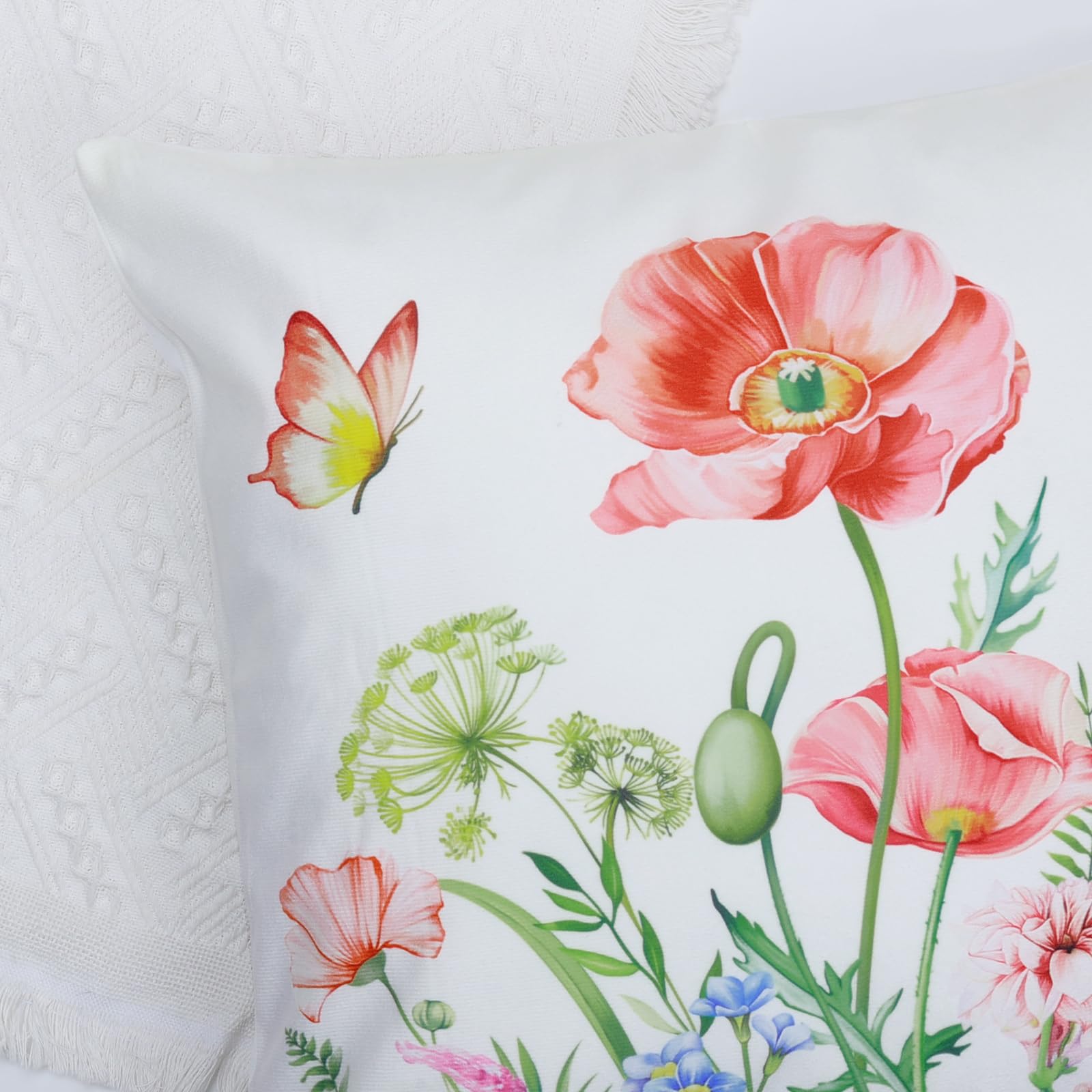 Federa Cuscino 45x45 Cm ABAKUHAUS Con Papaveri E Camomilla | Copricuscino Floreale In Microfibra | Rosso E Verde | Per Divano, Camera, Esterno - 3