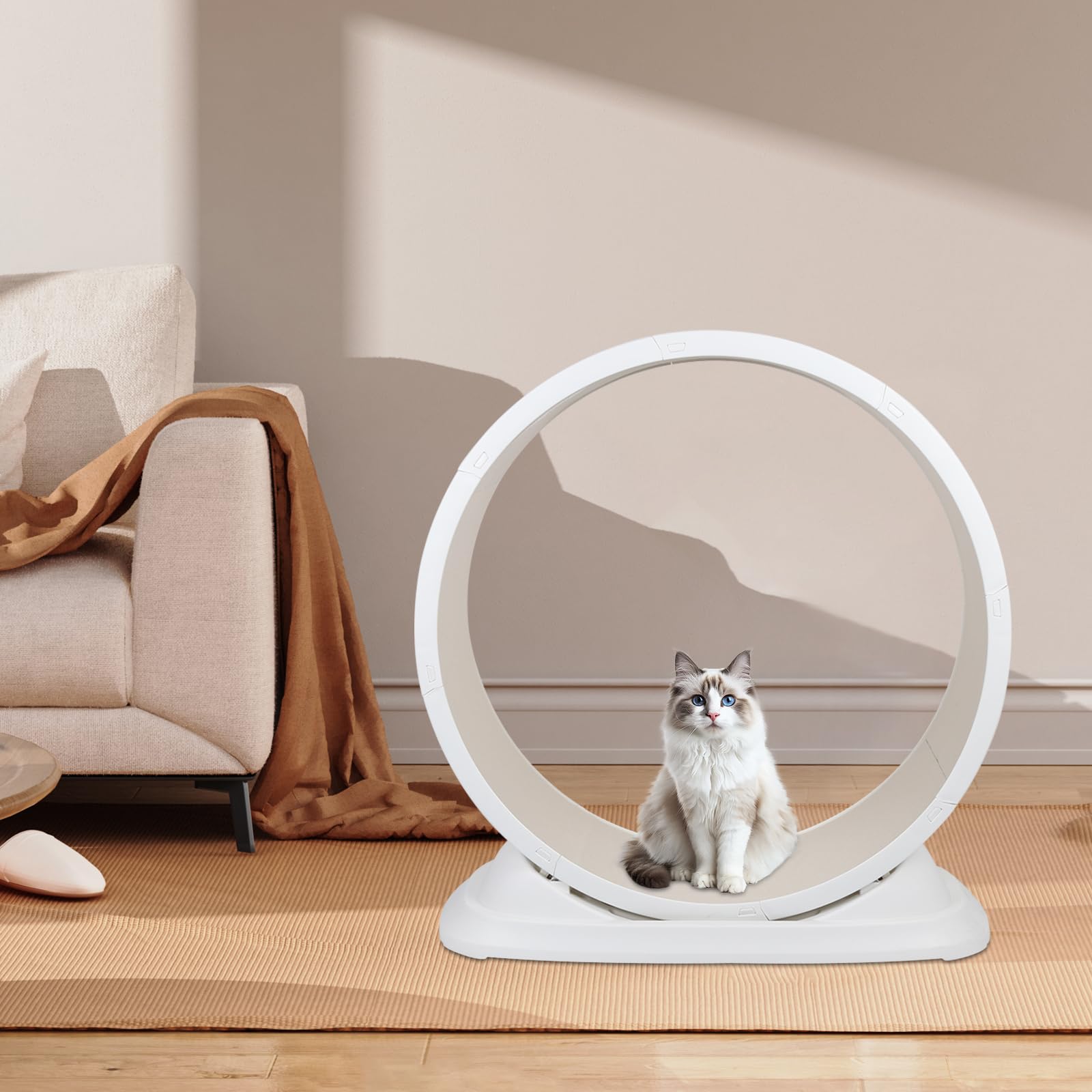 OHMG - Rueda de Ejercicio para Gatos de 80 cm, Cinta de Correr de Plástico con Moqueta, Súper Silenciosa - Juguete de Interior (85 x 80 x 33 cm)