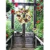 Product Photo 4