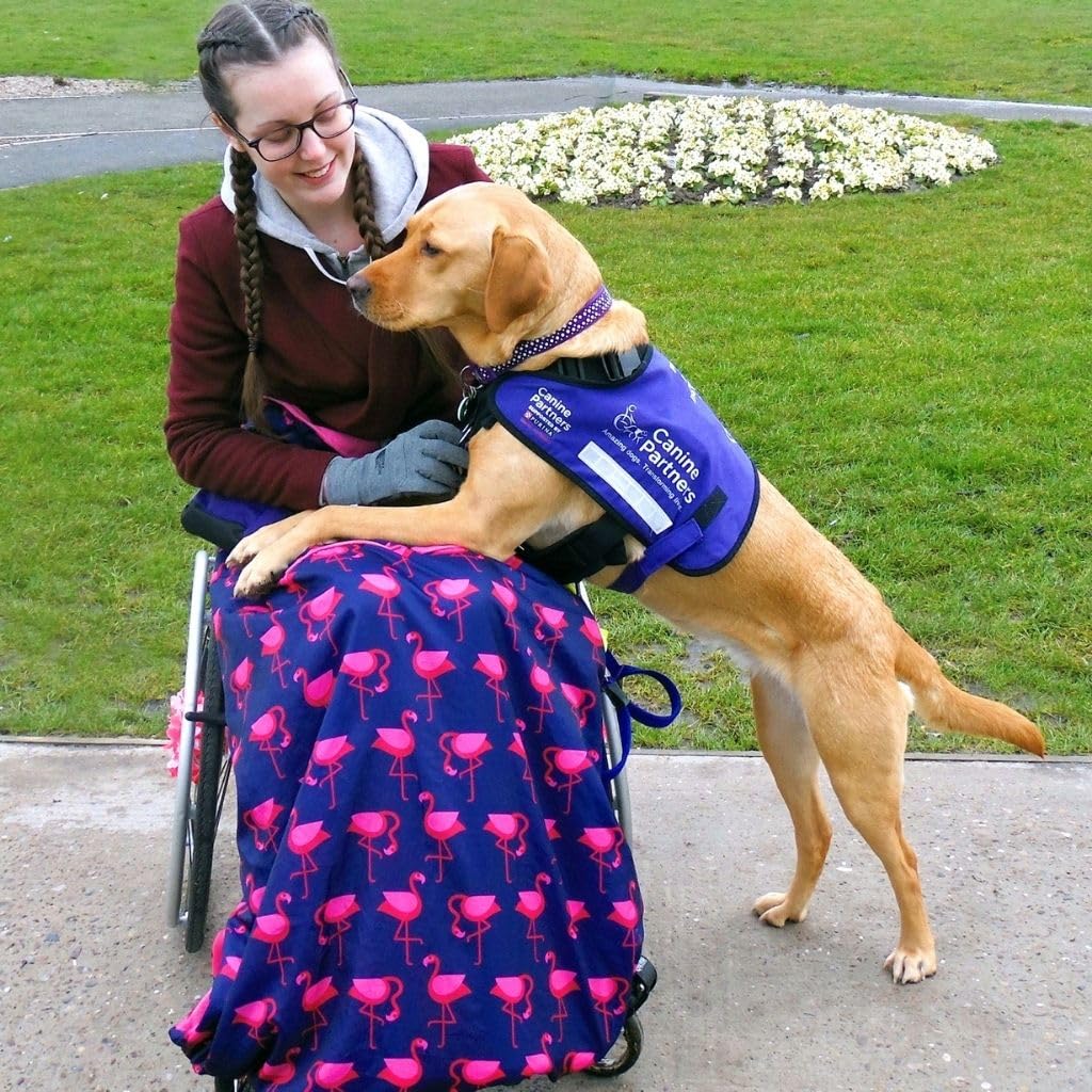 Funda para silla de ruedas con forro polar para usuarios de sillas de ruedas de talla grande y alta, 100% impermeable, manta para silla de ruedas fácil de instalar (flamenco marino)