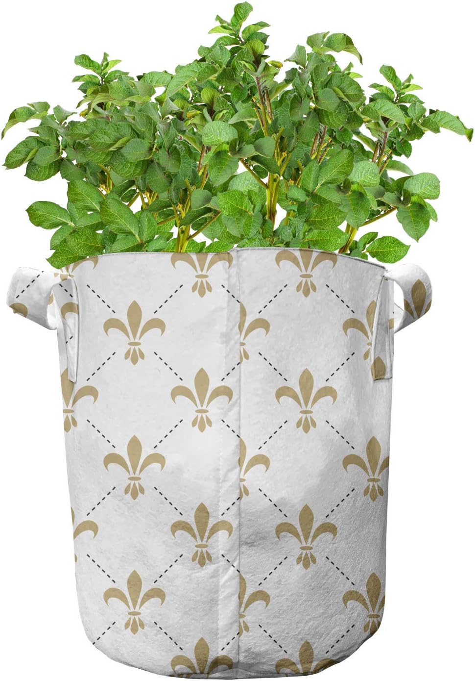 Ambesonne Flower Grow Bags 5-Pack, Vintage Style Lilies, Heavyduty Fabric Pots with Handles for Plants, Yellow and White