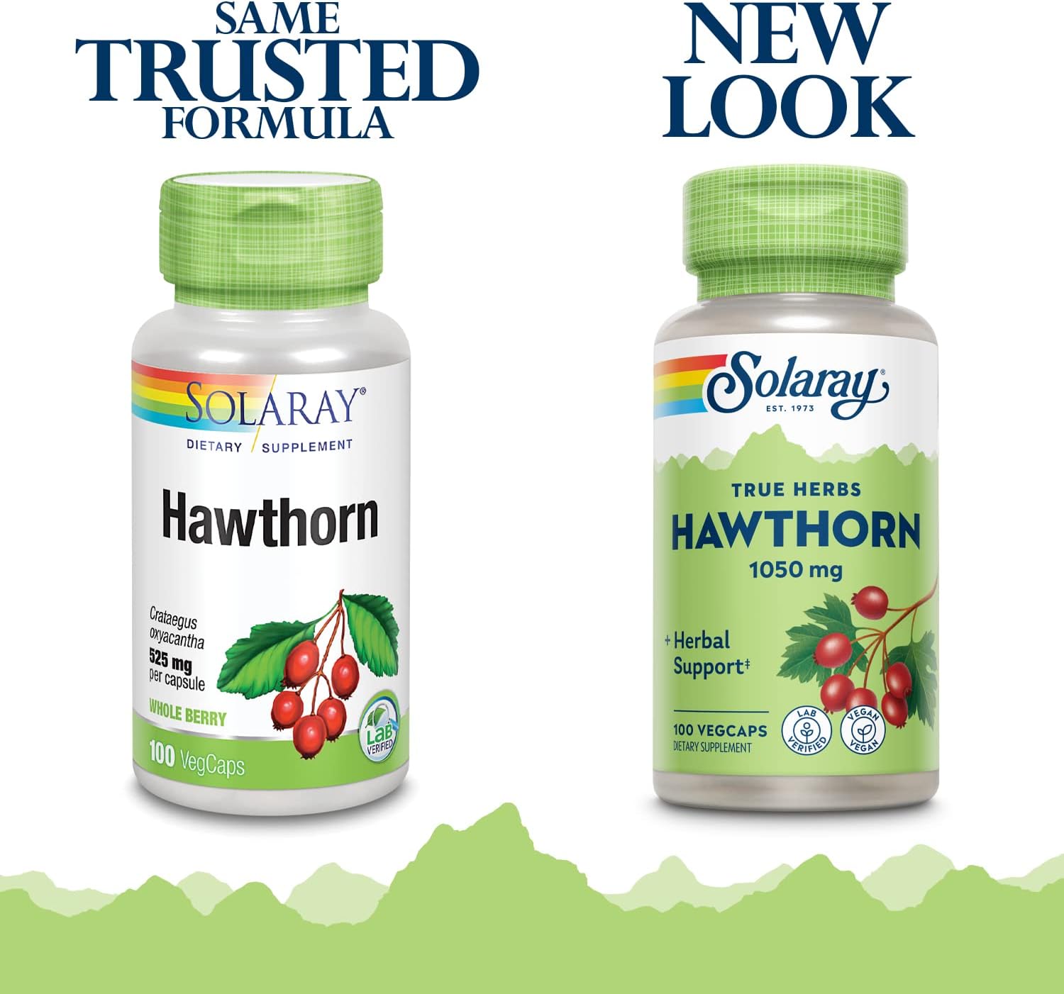Solaray Hawthorn Berry 1050mg | Healthy Cardiovascular Function & Normal, Healthy Circulation | Whole Berry | Non-GMO & Vegan | 100 VegCaps : Health & Household