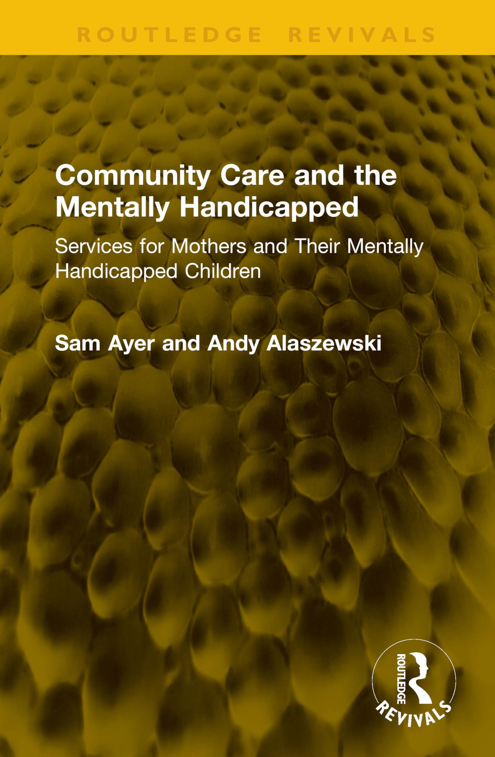 Community Care and the Mentally Handicapped: Services for Mothers and Their Mentally Handicapped Children (Routledge Revivals)