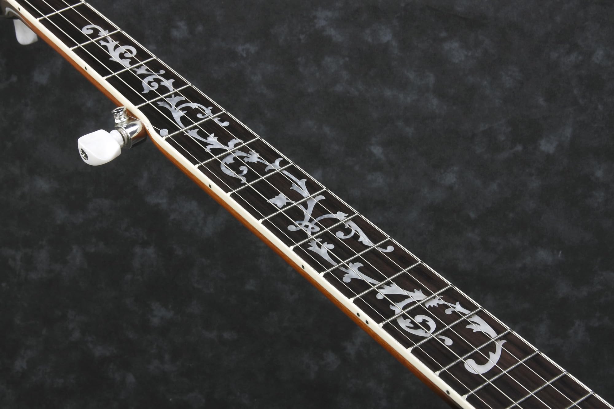 Ibanez B200 - banjo a 5 corde