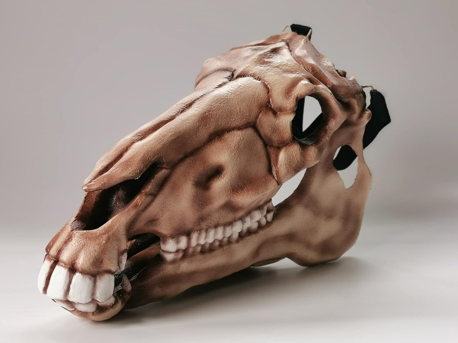 Horse skull mask with jaw, horse skull mask, Mari Lwyd