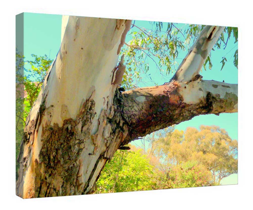 Impression sur toile Eucalyptus prête à suspendre pour décorer un mur vide - 4