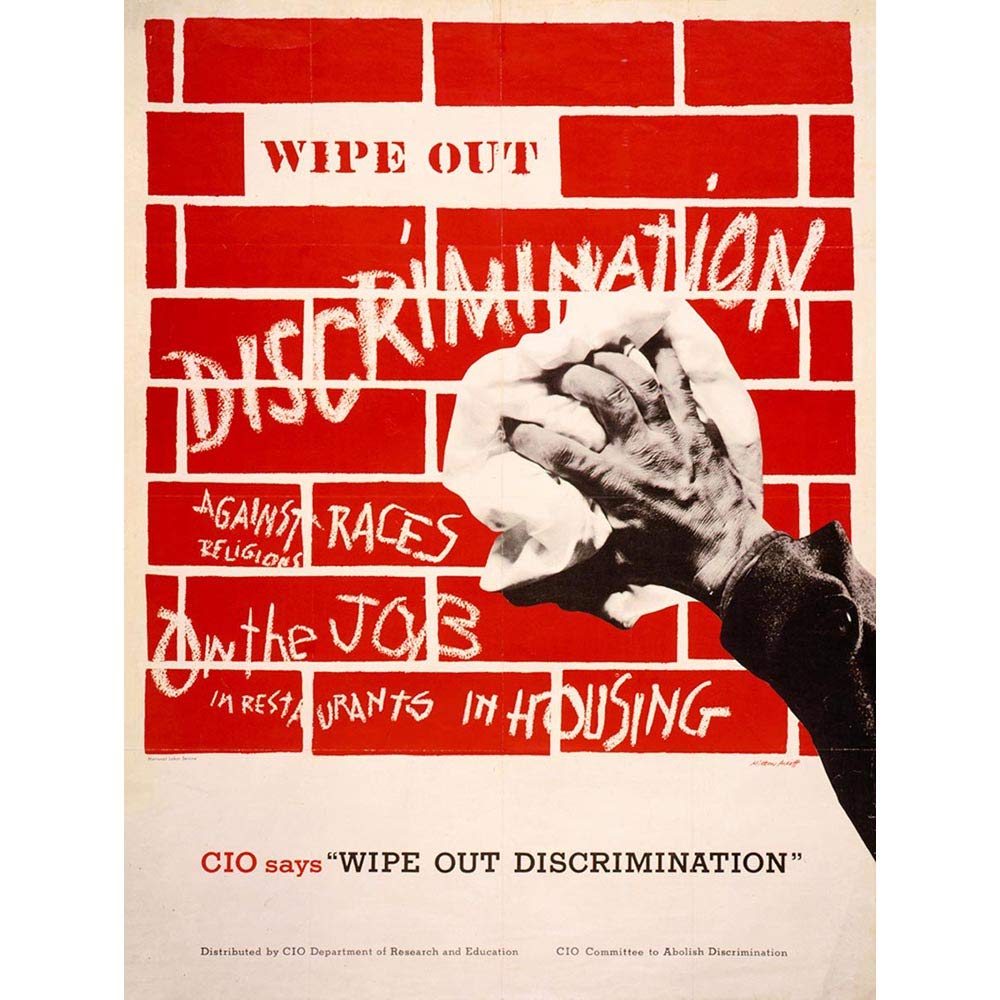Wee Blue Coo Civil Rights Equality Discrimination Cio USA Art Print Poster Wall Decor 12X16 Inch