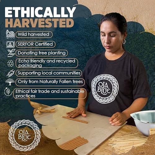 Miniatura 4 de Ola Blue Palo Santo paquete de 12 varillas de incienso auténticas de alta calidad de Perú hechas a mano y enrolladas a mano madera natural limpieza