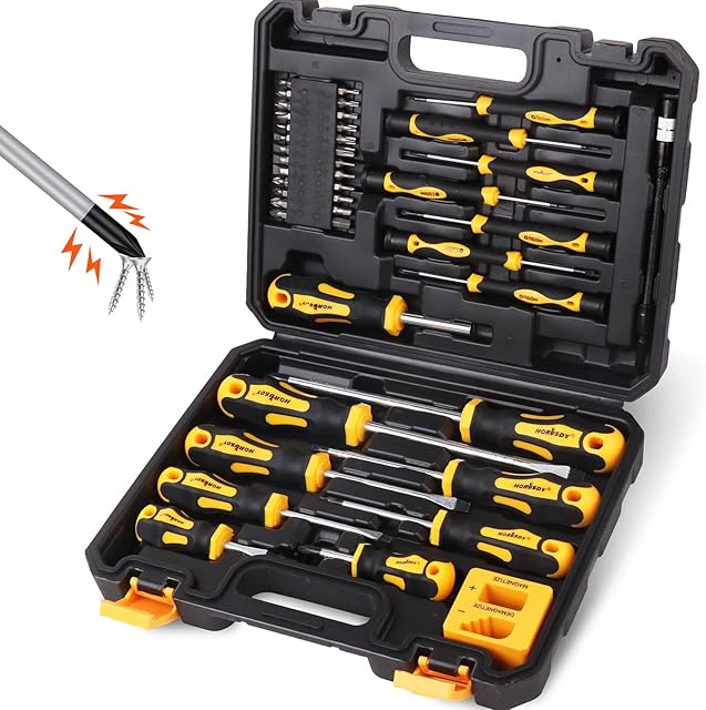 HORUSDY 43-Piece Magnetic Screwdrivers Set with Case, Include Phillips, Slotted, Pozidriv, Hex, Torx, and Magnetizer demagnetizer Precision Screwdriver Set for Tools for Men
