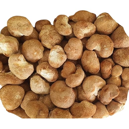 Dried Lions Mane Mushroom 50 gm