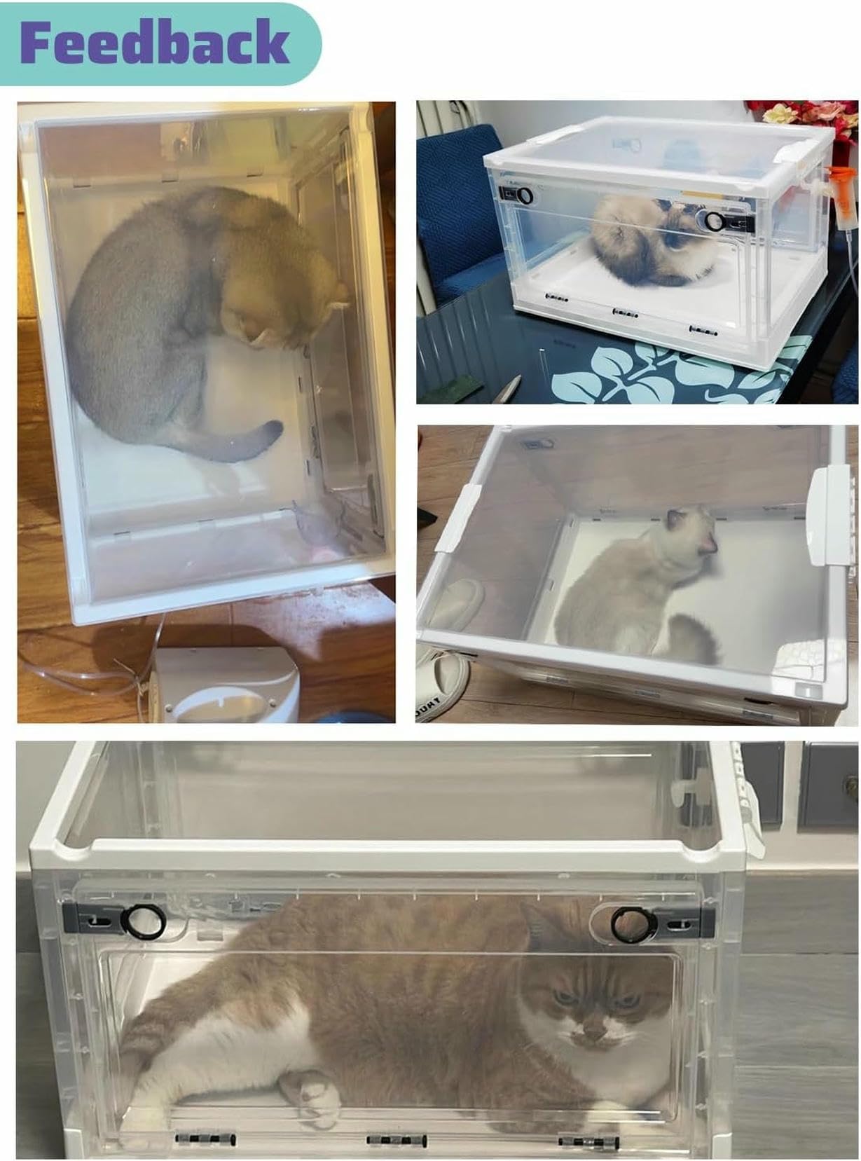 Camera portatile di ossigenoterapia per animali domestici, uso domestico e veterinario