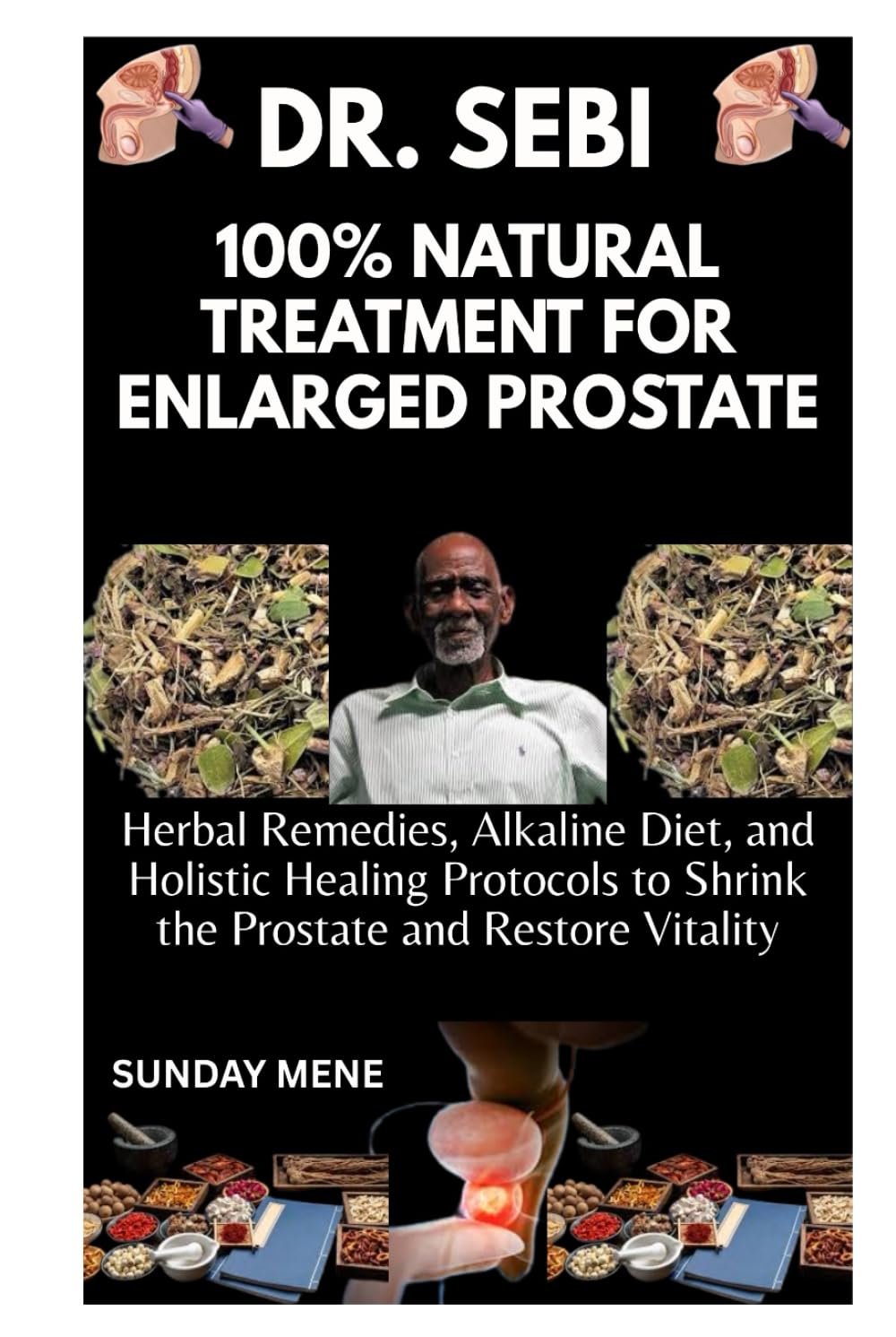 DR. SEBI 100% NATURAL TREATMENT FOR ENLARGED PROSTATE: Herbal Remedies, Alkaline Diet, and Holistic Healing Protocols to Shrink the Prostate and Restore Vitality