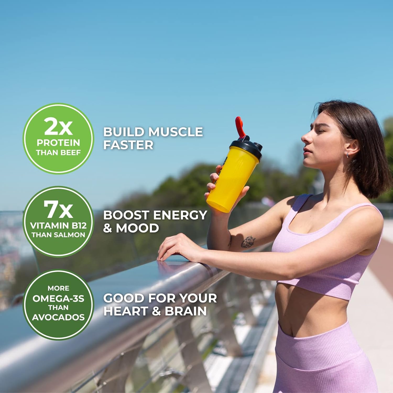 Mighty Cricket Protein Powder. 20g Clean Prebiotic Cricket Protein. No Sugar, Low Carbs, Gluten & Dairy Free. Keto & Paleo, 100% Natural Ingredients. Vanilla, 1 lb (Pack of 1)