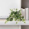 Product Photo 8