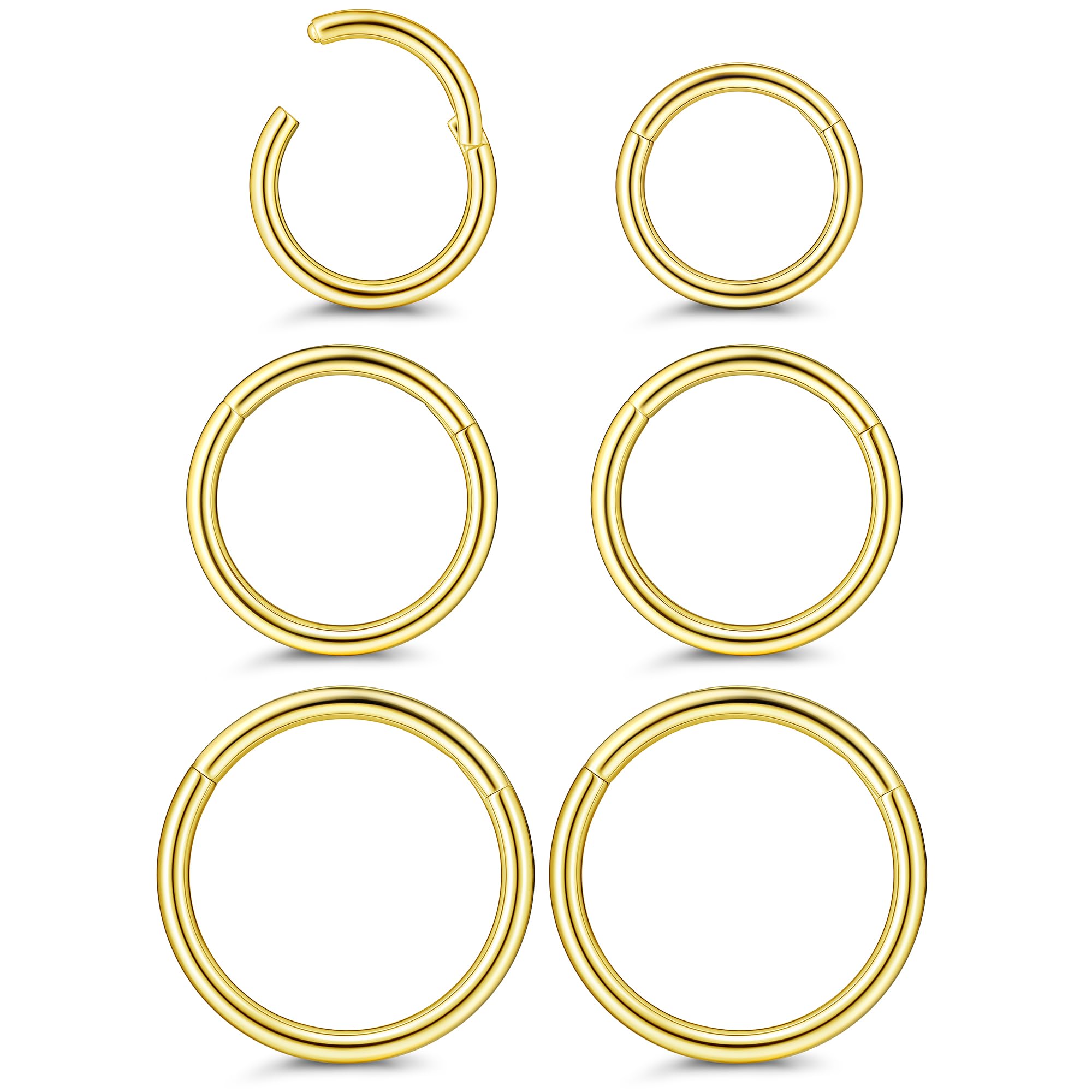 FIOROYAL 6Pz 16G/18G Titanio Piercing Nariz Aro Clicker Piercing Septum Sleeper Pendientes para Mujere Hombre Helix Cartílago Daith Ohr Tragus Piercing Joyería 8-12mm
