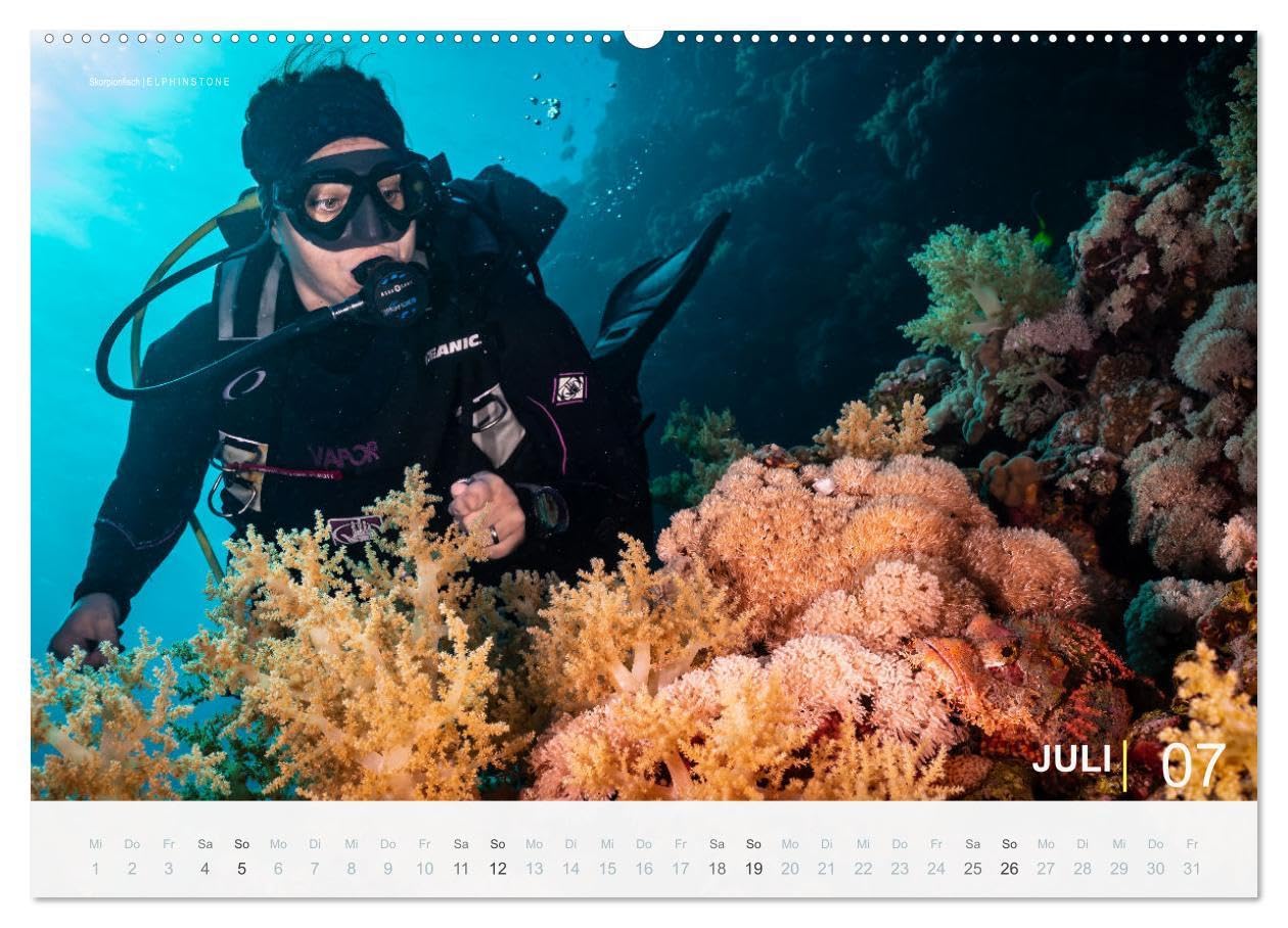 Einfach Tauchen - Wunderbare Tauchplätze und Korallenriffe (Wandkalender 2026 DIN A2 quer), CALVENDO Monatskalender: Farbenfrohe Unterwasserfotos der beliebtesten Reisezielen für Taucher.