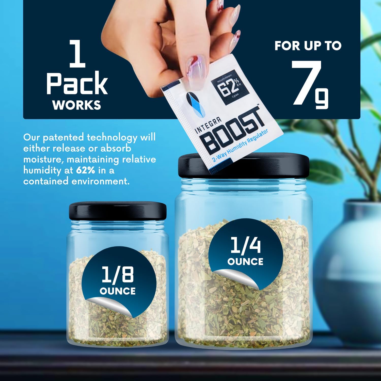 Integra Boost 62% RH 2-Way Humidity Control Pack, 2g, Pack of 20