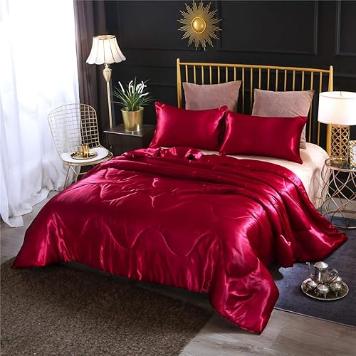 NTBED Silky Satin Comforter Set Queen (90''x90'') Luxury Soft Lightweight Sexy Microfiber Bedding Comforter with 2 Pillow Cases for Summer Spring Autumn (Red, Queen)