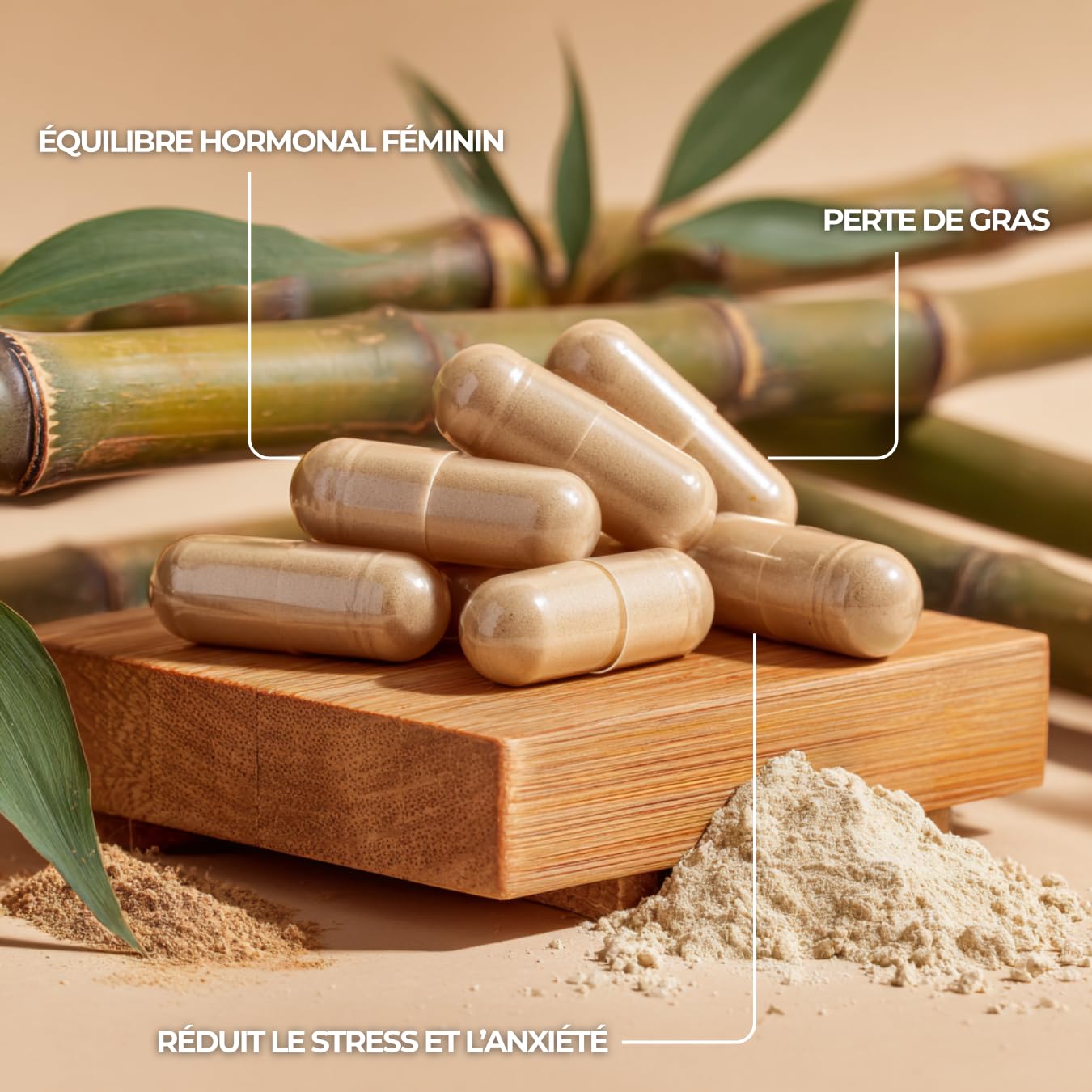 Shatavari - Vitalité & Équilibre - Extrait Concentré 500 mg – 60 Gélules
