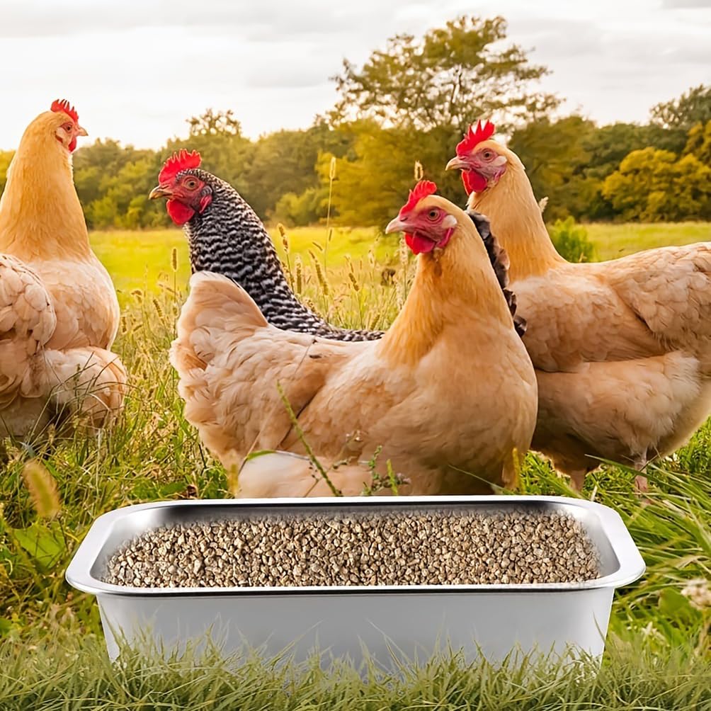 Alimentador de pollo de gran capacidad, equipo de riego de ganado de acero inoxidable para pollos, patos y cerdos, accesorios para gallineros