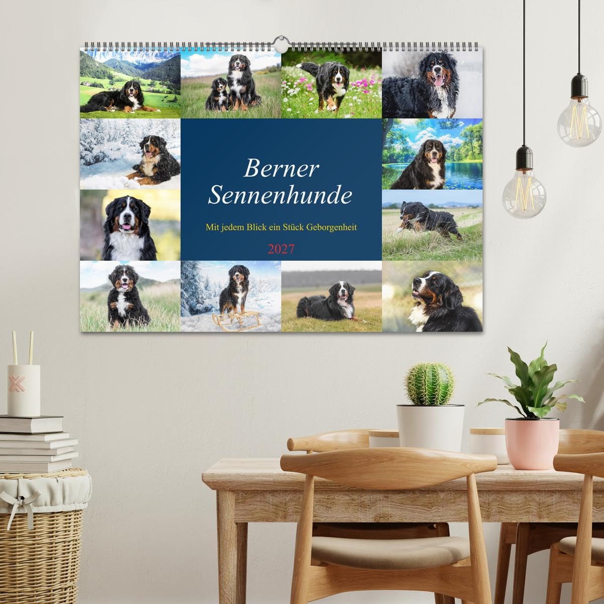CALVENDO - Berner Sennenhunde - Mit jedem Blick ein Stück Geborgenheit (Wandkalender 2027 DIN A2 quer), Monatskalender: Bilder die Herz und Seele berühren