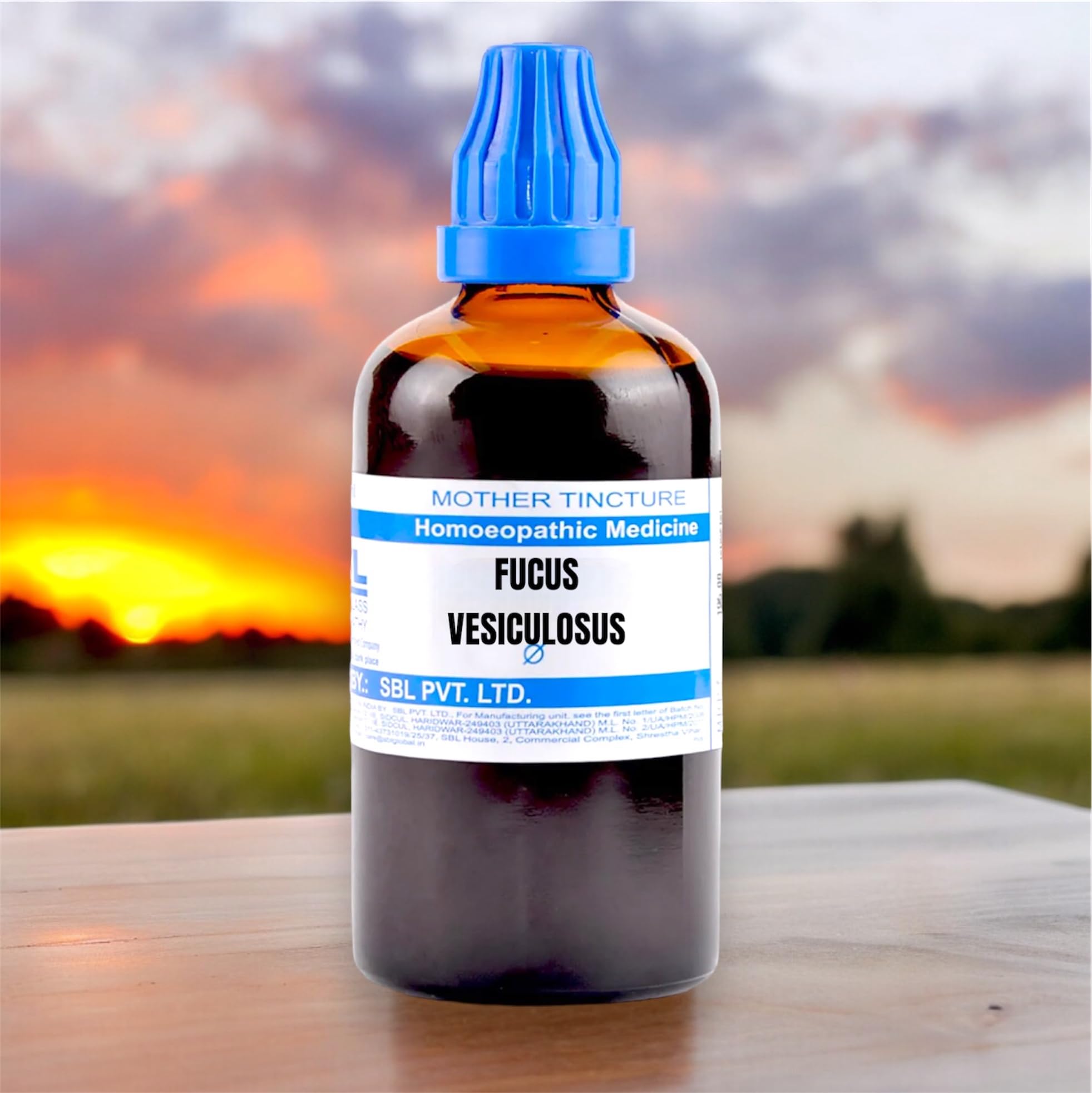 SBL Fucus Vesiculosus Mother Tincture Homeopathic Q Bottle
